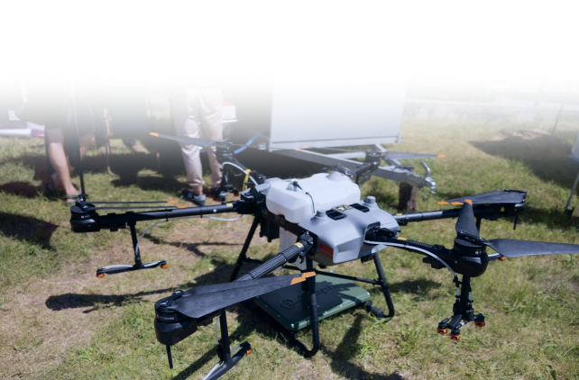 Custom solutions and tailored developments