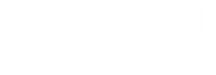 BRAVE1